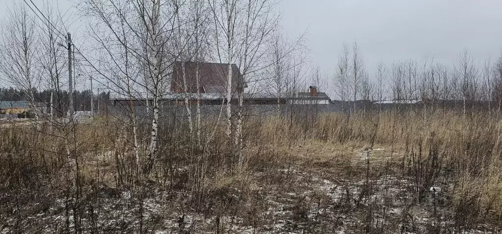 Участок в Московская область, Луховицы муниципальный округ, пос. ... - Фото 1