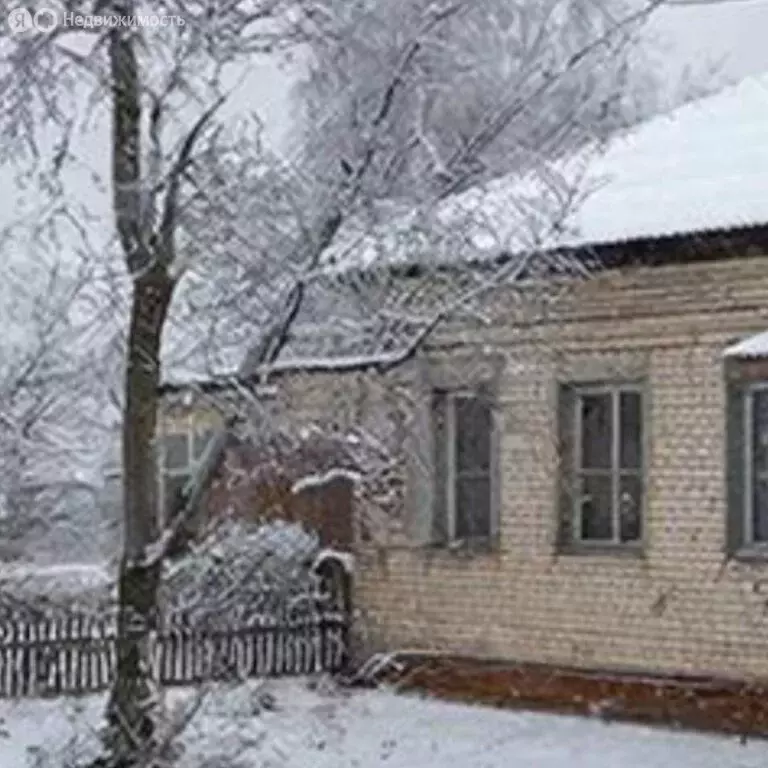 Дом в село Баталово, улица Рукина (47 м) - Фото 1