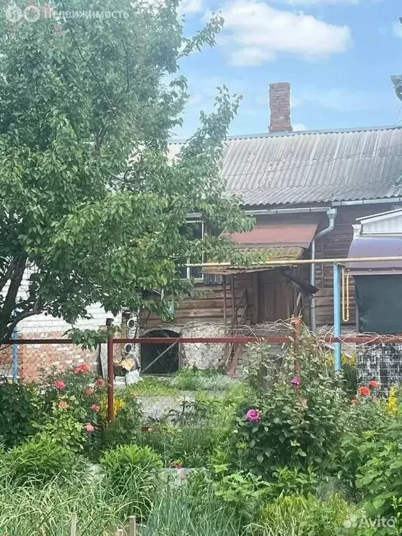 1-комнатная квартира: Льгов, Красная площадь, 22 (24.2 м) - Фото 2