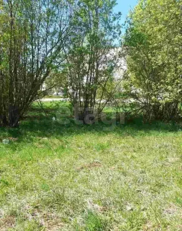 Участок в Вологодская область, пос. Надеево ул. Центральная (13.51 ... - Фото 1