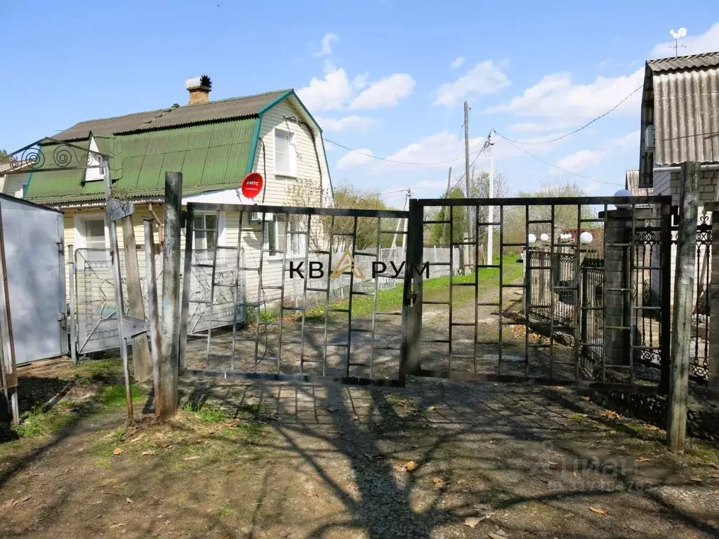 Участок в Еврейская автономная область, Смидовичский район, Дубки СНТ  ... - Фото 1