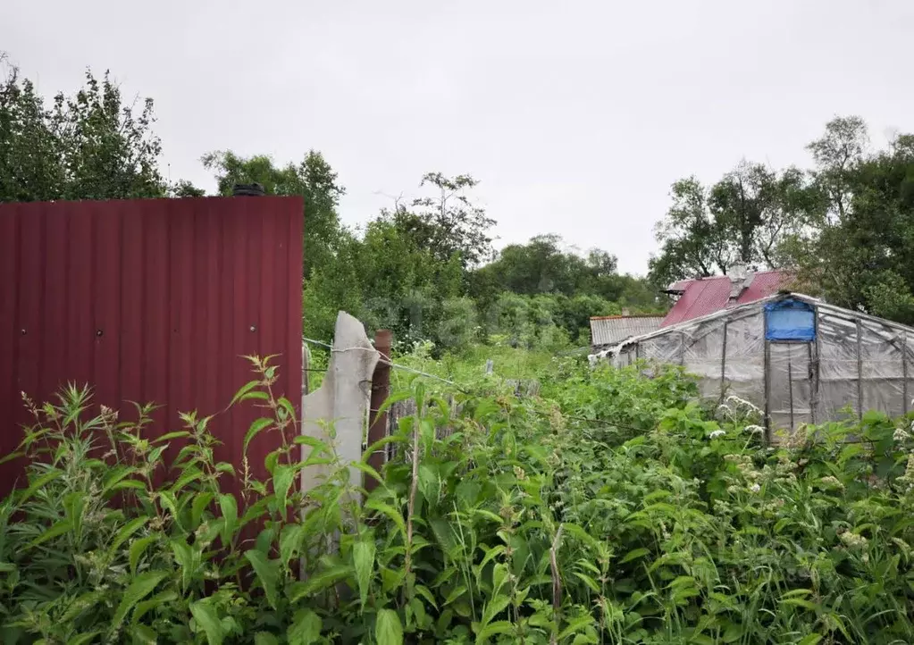 Участок в Сахалинская область, Южно-Сахалинск Картонажник СТ,  (7.6 ... - Фото 1