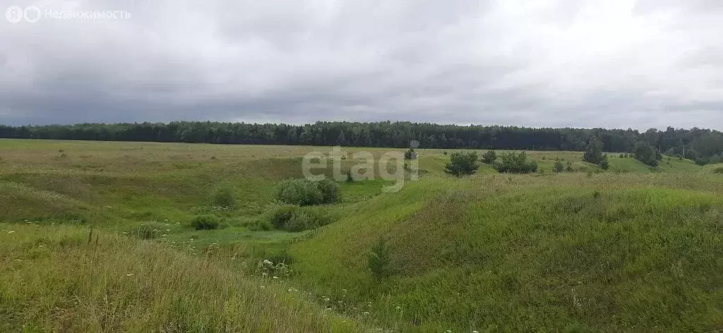 Участок в Рыбно-Слободский район, Биектауское сельcкое поселение, ... - Фото 0