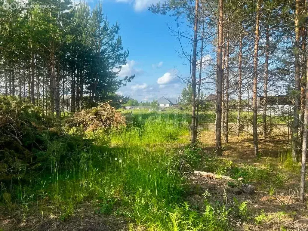 Участок в посёлок городского типа Тугулым, Сосновая улица (13.79 м) - Фото 2