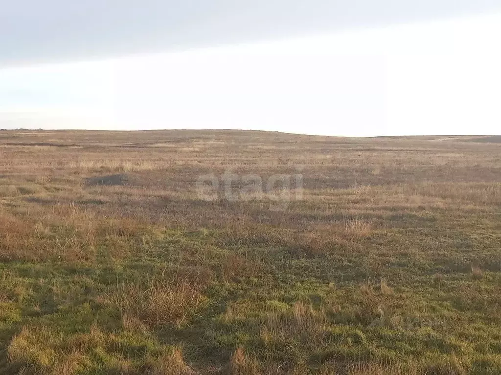 Участок в Крым, Ленино пгт ул. Трудовая (10.0 сот.) - Фото 1