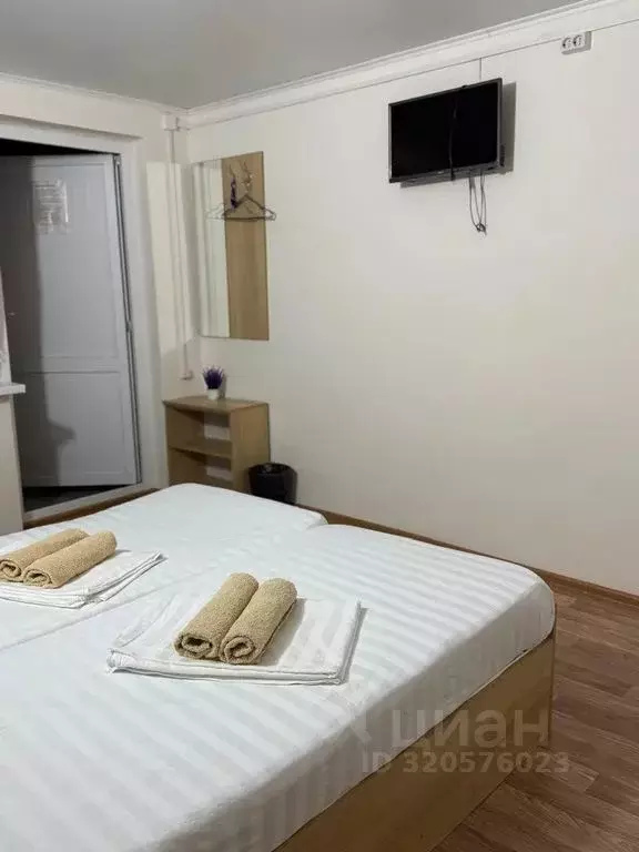 Комната Краснодарский край, Туапсинский муниципальный округ, с. ... - Фото 1