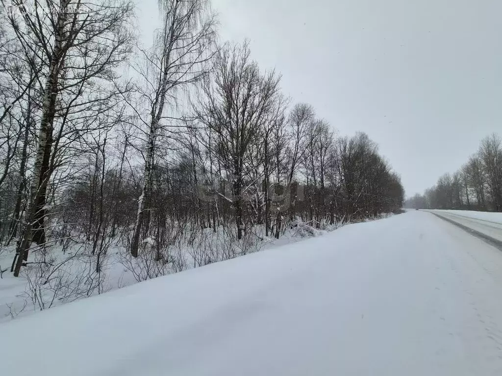 Участок в Ярославская область, Некрасовский муниципальный округ, ... - Фото 2
