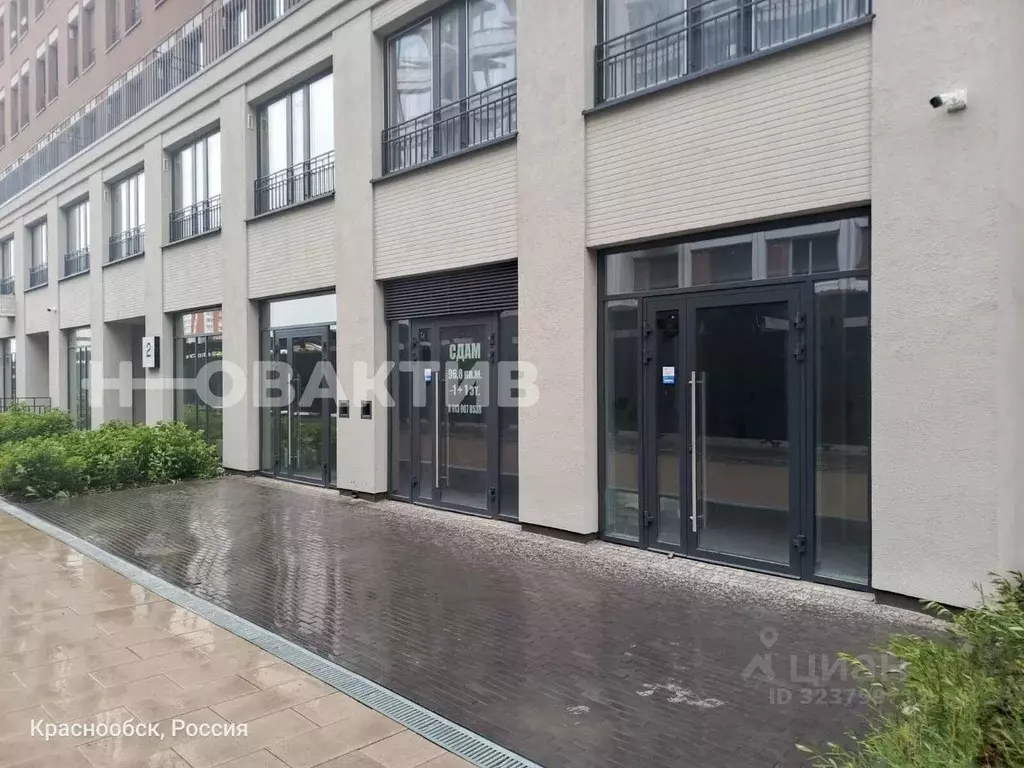 Помещение свободного назначения в Новосибирская область, Новосибирский ... - Фото 1