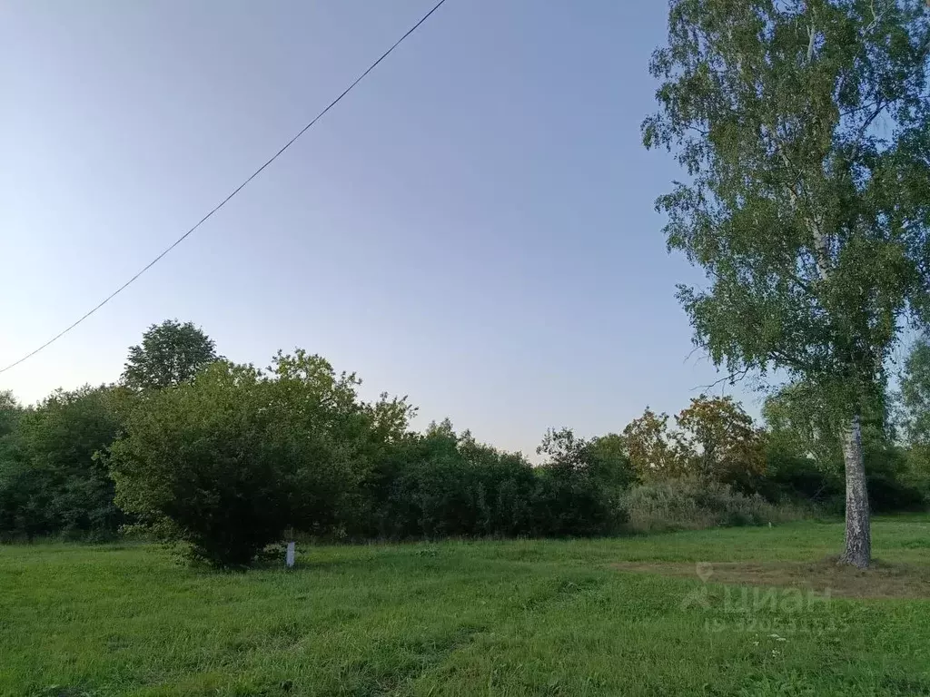 Участок в Рязанская область, Клепиковский муниципальный округ, с. ... - Фото 2