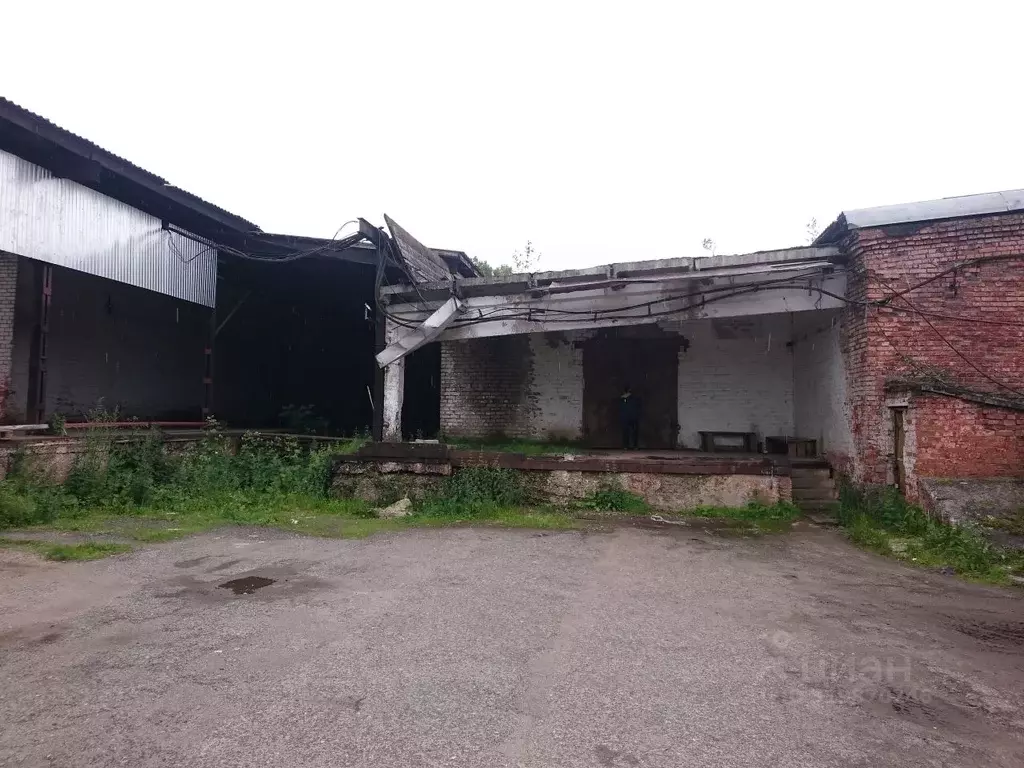 Помещение свободного назначения в Пермский край, Березники ул. Карла ... - Фото 0
