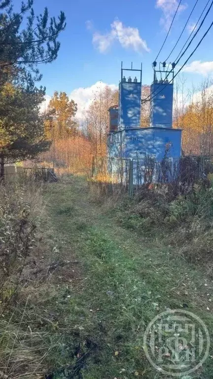 Участок в Ленинградская область, Всеволожский район, Токсовское ... - Фото 1