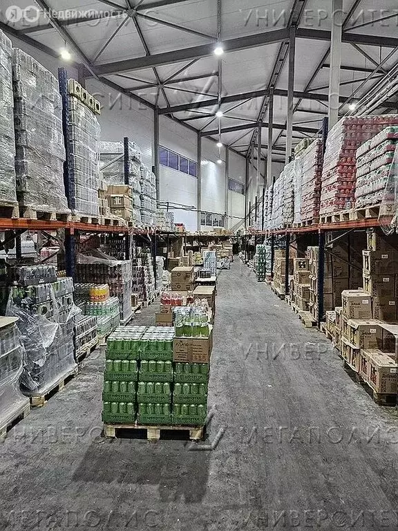 Склад (1943 м) - Фото 0