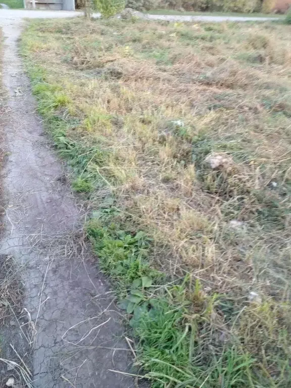 Участок в Новосибирская область, Искитимский район, Чернореченский ... - Фото 2