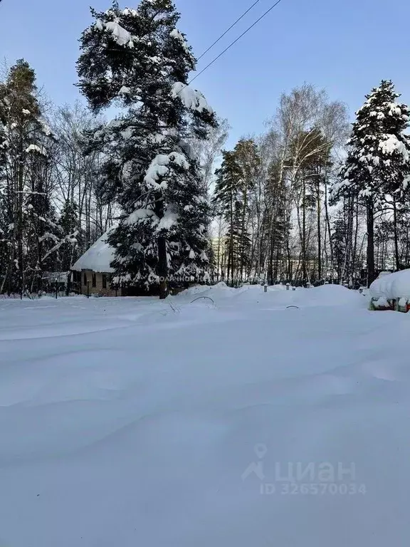 Участок в Московская область, Домодедово городской округ, пос. ... - Фото 2