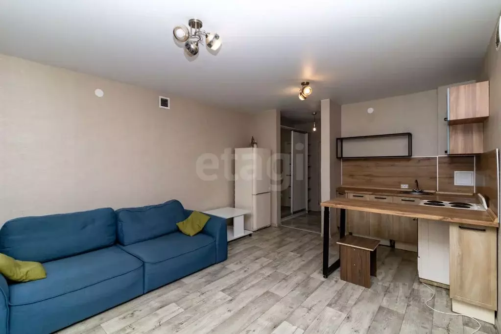 Студия Красноярский край, Красноярск ул. Мужества, 10В (26.5 м) - Фото 1