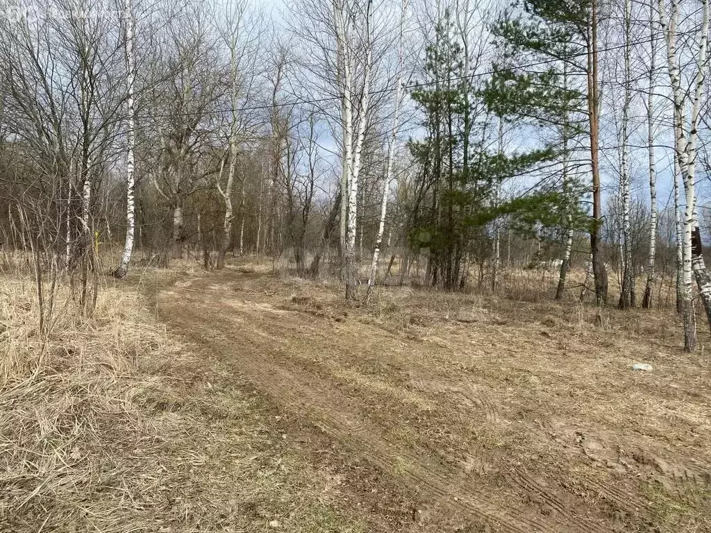 Участок в городской округ Калуга, деревня Косарево (57 м) - Фото 0