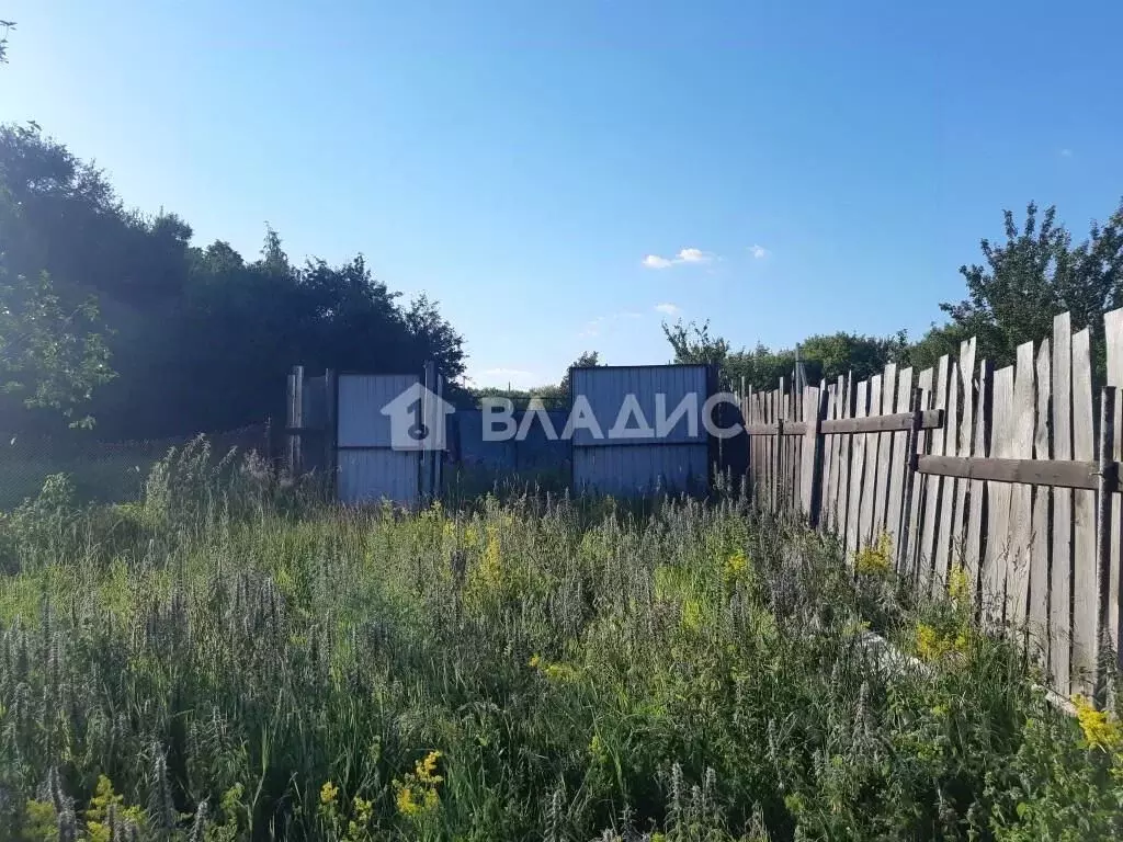 Участок в Воронежская область, Семилукский район, с. Девица Зеленая ... - Фото 2