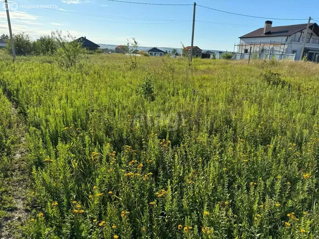 Участок в Краснодарский край, городской округ Новороссийск, хутор ... - Фото 0