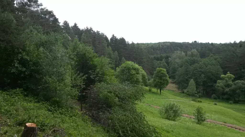Участок в Тульская область, Заокский район, Страховское с/пос, д. ... - Фото 2