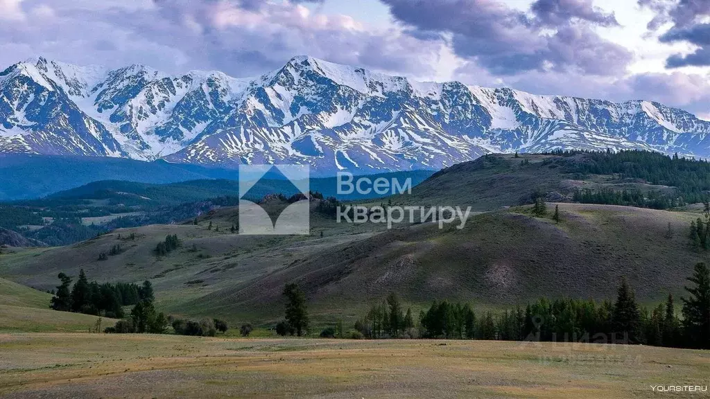 Участок в Алтай, Улаганский район, с. Акташ ул. Депутатская (1.0 сот.) - Фото 0