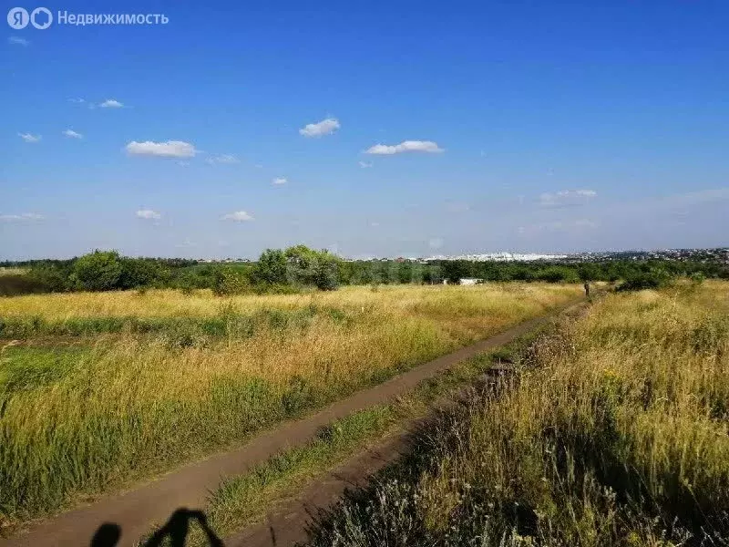 Участок в Белгород, СТ Сухой Лог-93 (10 м) - Фото 1