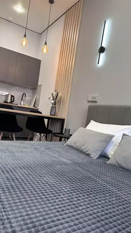 1-к кв. Башкортостан, Уфа ул. Набережная реки Уфы, 69/3 (20.0 м) - Фото 2