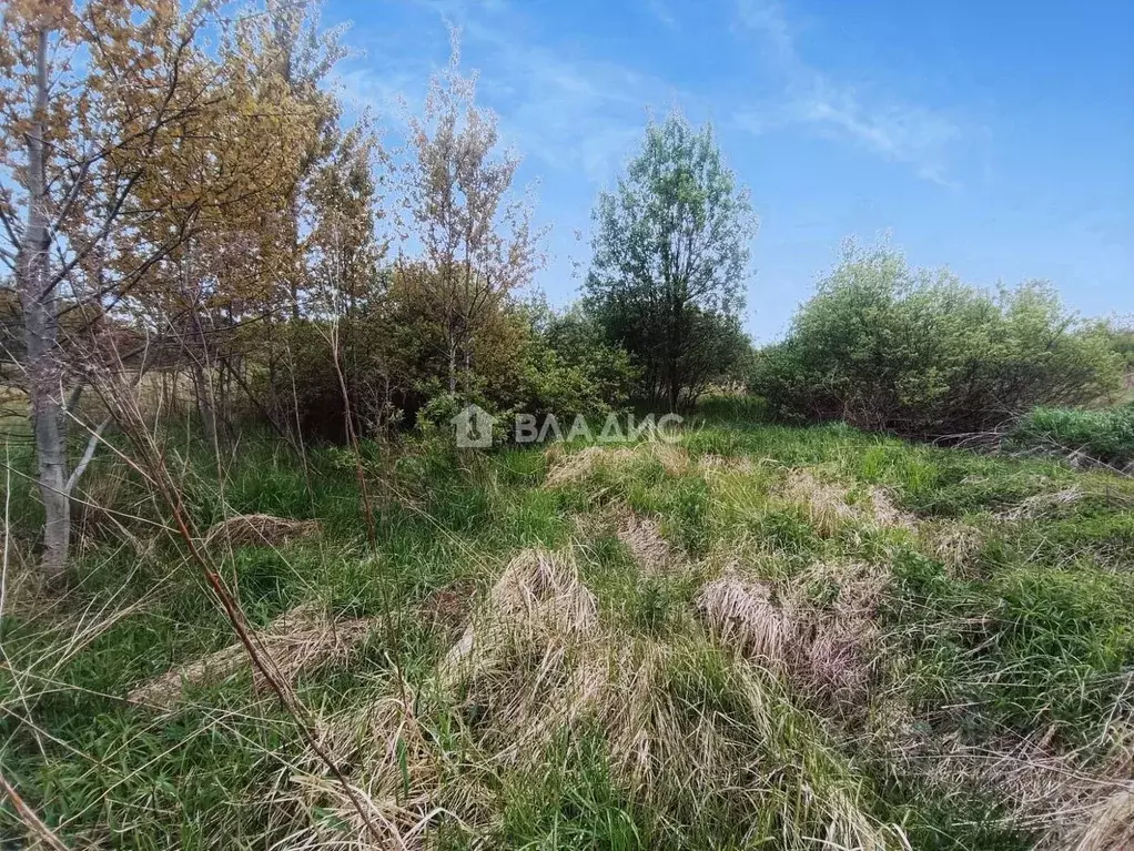 Участок в Калининградская область, Калининград Балтиец СНТ, проезд ... - Фото 1