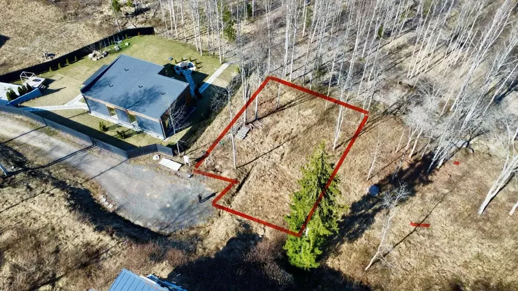 Участок в Ленинградская область, Приозерский район, Раздольевское ... - Фото 2