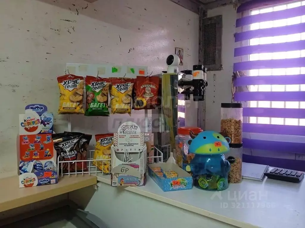 Торговая площадь в Оренбургская область, Оренбургский район, ... - Фото 1