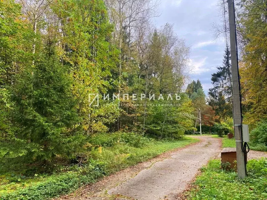 Участок в Калужская область, Жуковский муниципальный округ, Истье ... - Фото 1