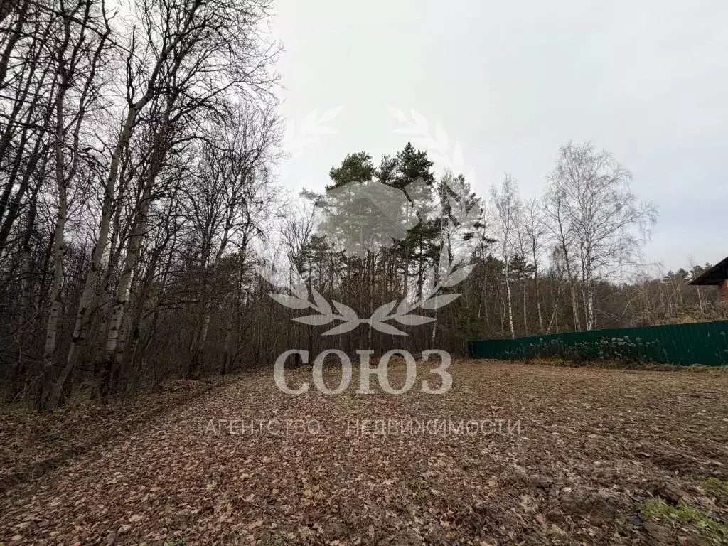 Участок в Калужская область, Калуга городской округ, д. Шопино пер. ... - Фото 2