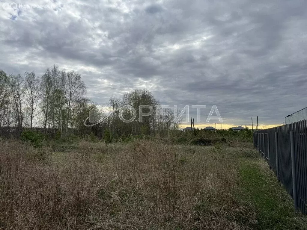 Участок в Тюменская область, Ялуторовский муниципальный округ, село ... - Фото 2