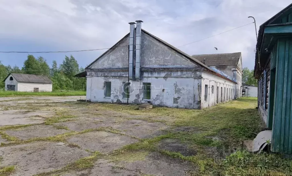 Помещение свободного назначения в Калужская область, с. Хвастовичи ул. ... - Фото 2