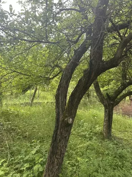 Участок в Ярославль, 2-я улица Кольцова (6 м) - Фото 0