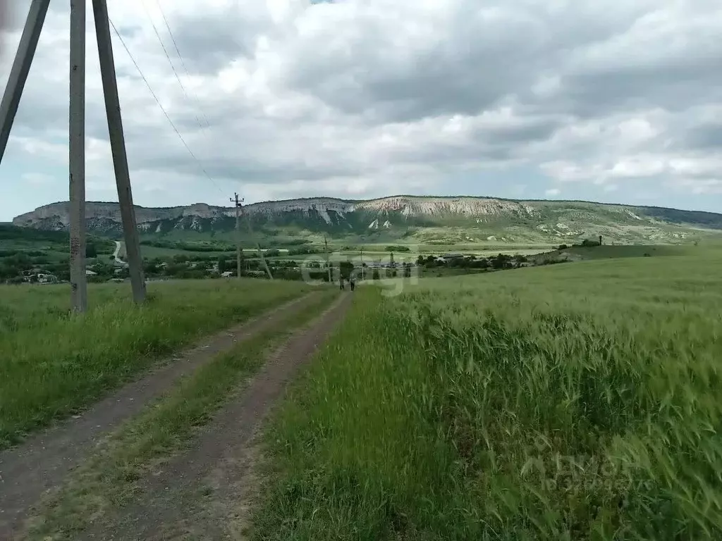 Участок в Крым, Белогорский район, с. Курское ул. Горная (100.0 сот.) - Фото 1