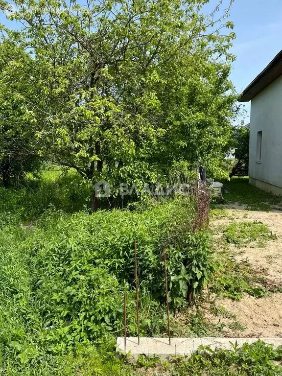 Участок в Калининград, ДНТ Золотой Петушок, Большая Окружная улица ... - Фото 2