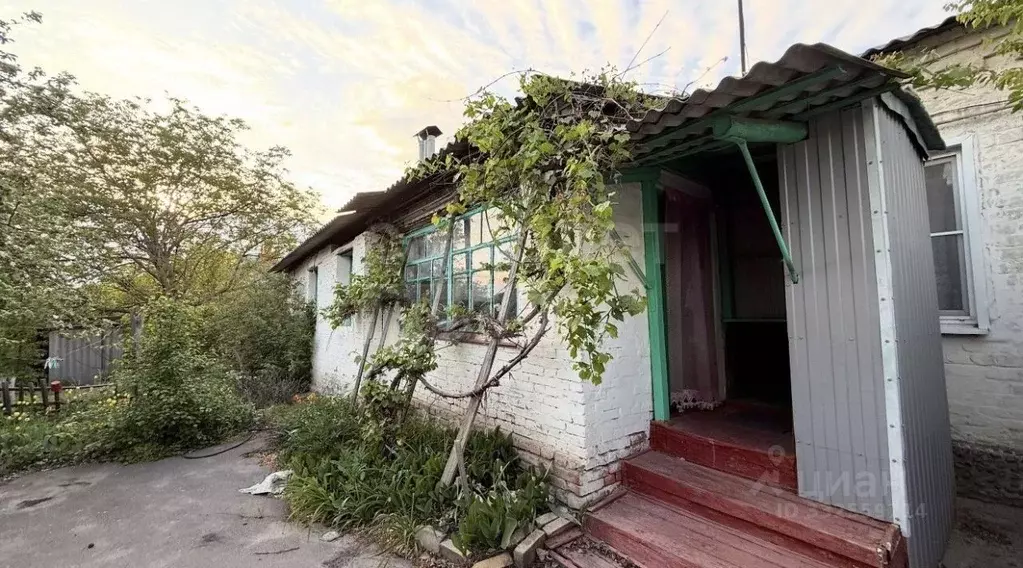 2-к кв. Воронежская область, Павловск Набережная ул., 4 (59.6 м) - Фото 1