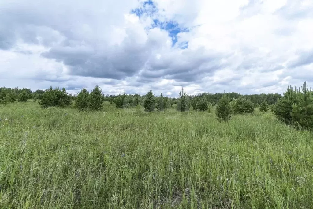 Участок в Тюменская область, Тюменский муниципальный округ, д. Елань  ... - Фото 1