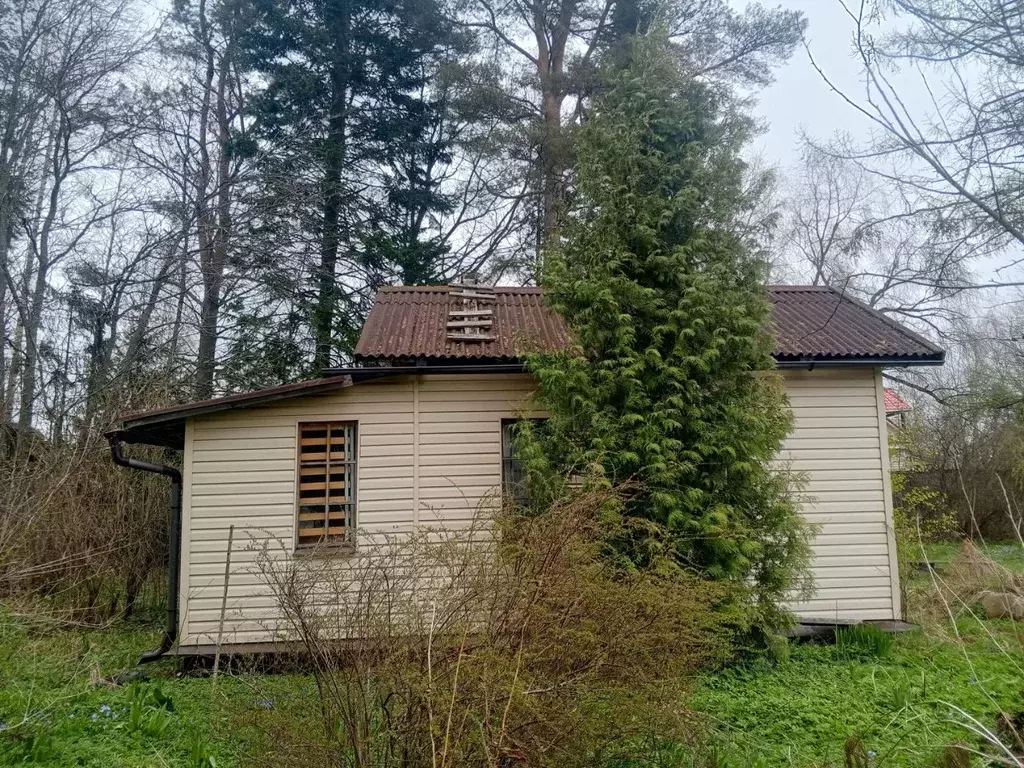 Участок в Ленинградская область, Всеволожский район, Колтушское ... - Фото 1