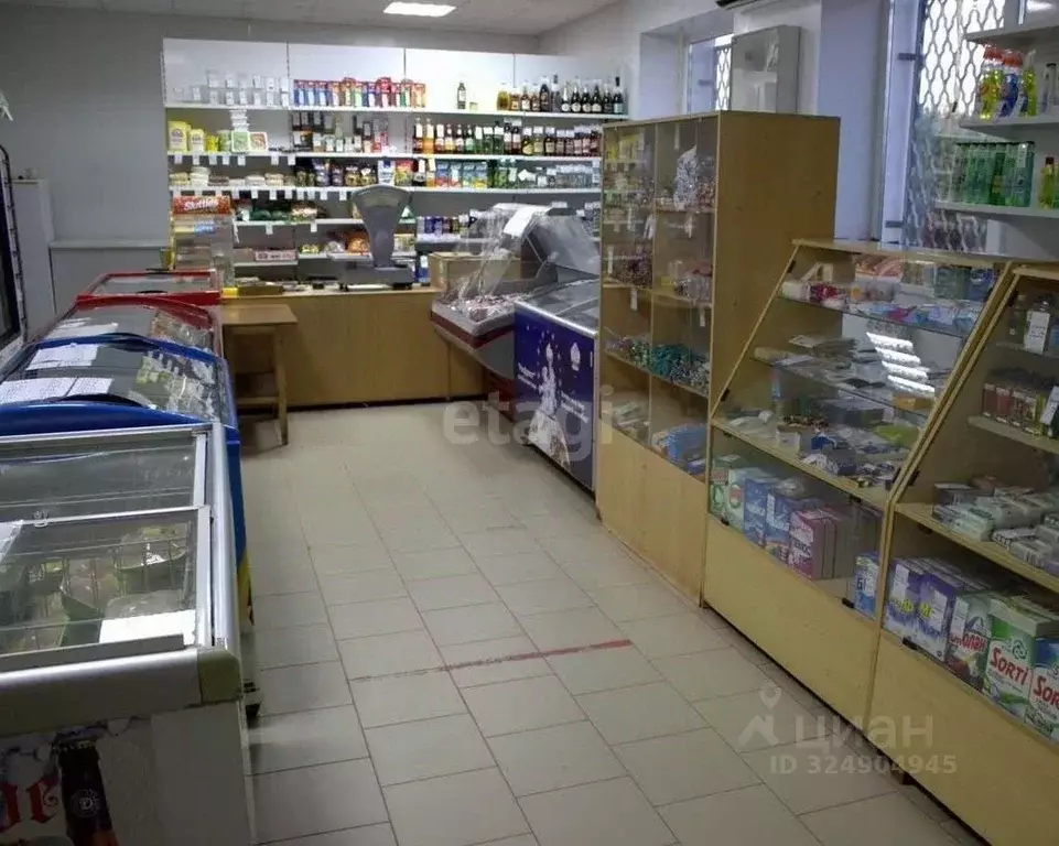 Помещение свободного назначения в Свердловская область, Горноуральский ... - Фото 1