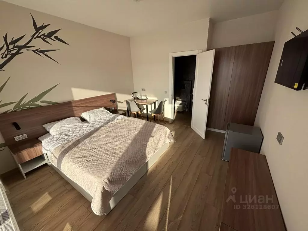 Студия Калужская область, Боровский муниципальный округ, д. Петрово, ... - Фото 1