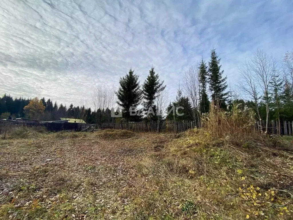 Участок в Пермский край, Пермский муниципальный округ, д. Молоково ул. ... - Фото 1