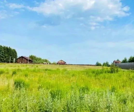 Участок в Московская область, Богородский городской округ, д. Тимково ... - Фото 0