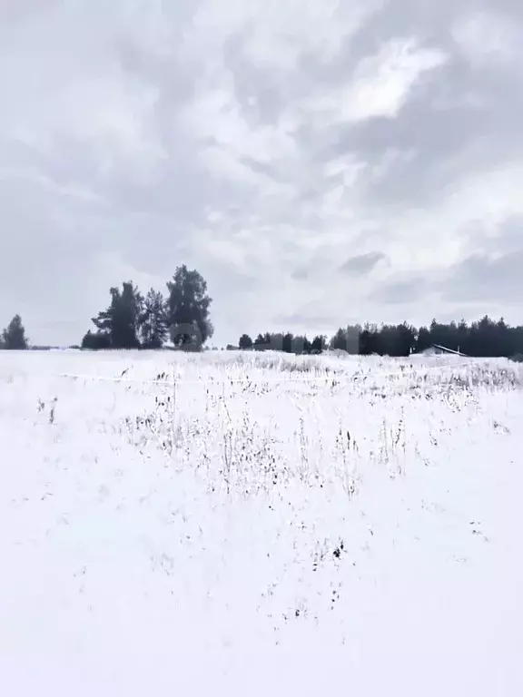 Участок в Владимирская область, Ковровский муниципальный округ, пос. ... - Фото 2