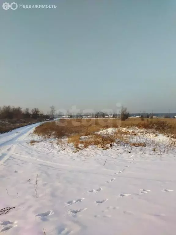 Участок в село Селиваниха, улица Курченко (10 м) - Фото 2