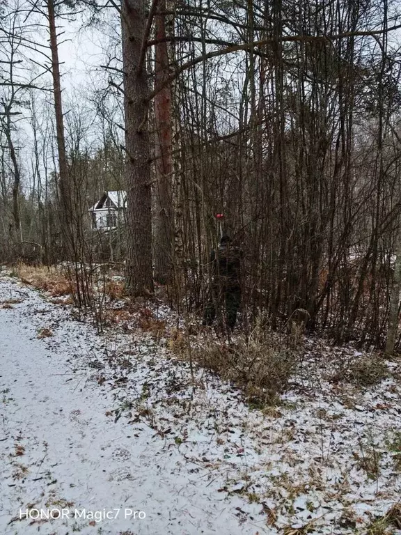 Участок в Ленинградская область, Приозерский район, Плодовское с/пос, ... - Фото 2