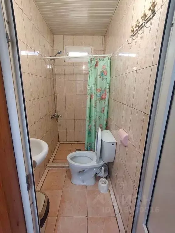Комната Краснодарский край, Сочи Адлер жилрайон, ул. Цитрусовая, 6 - Фото 1