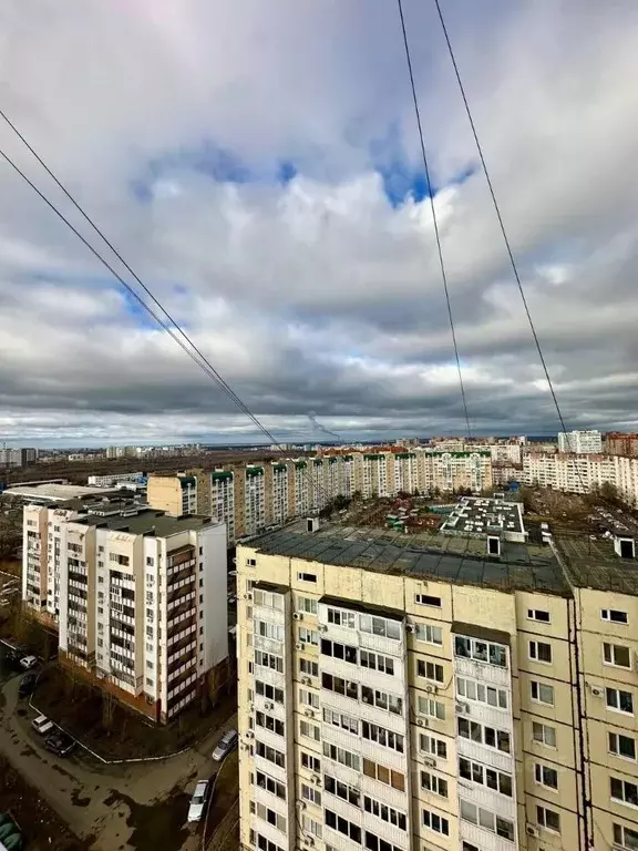 2-к кв. Оренбургская область, Оренбург Салмышская ул., 58 (57.1 м) - Фото 1