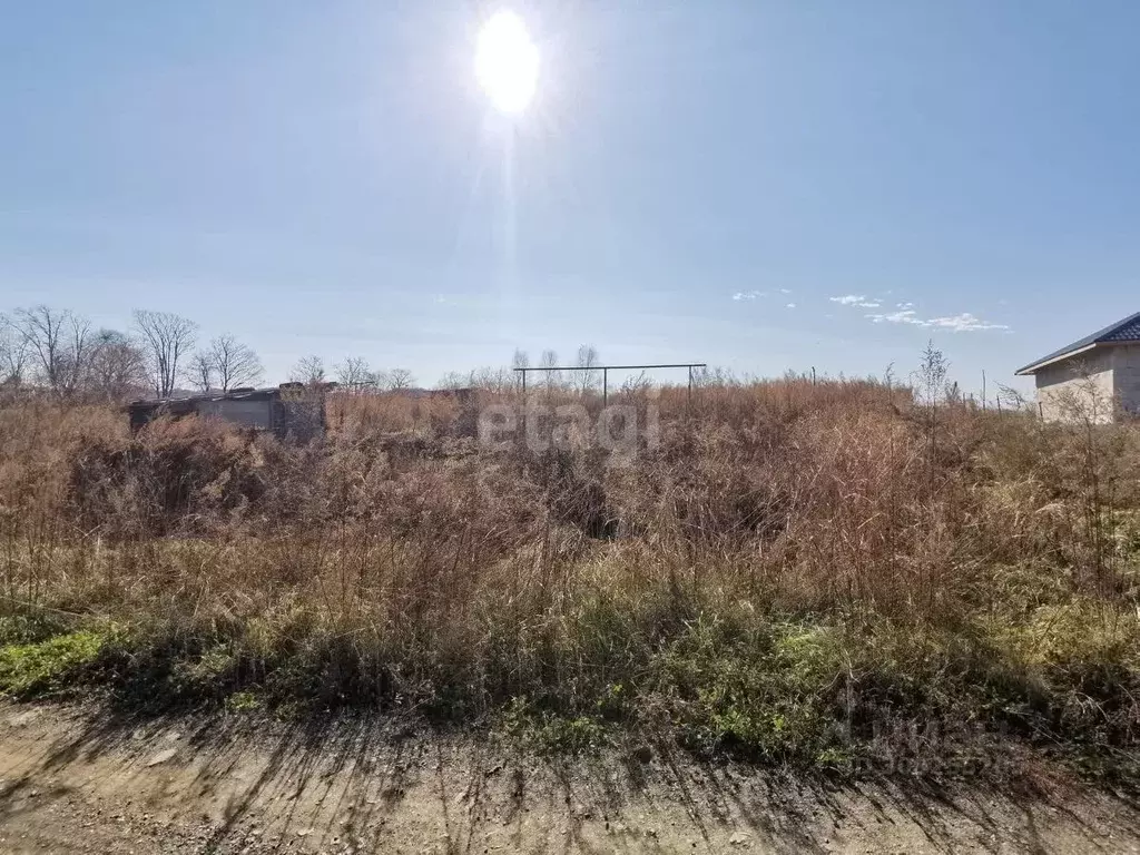 Участок в Приморский край, Артемовский городской округ, с. Суражевка ... - Фото 1