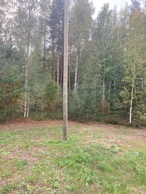 Участок 12,5 сот. (СНТ, ДНП) - Фото 0